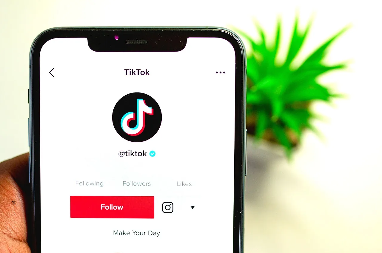 tiktok, app, smartphone, screen, social media, multimedia, application, digital, phone, mobile phone, tiktok, tiktok, tiktok, tiktok, tiktok. Age restrictions risks: the two errors and who bears each