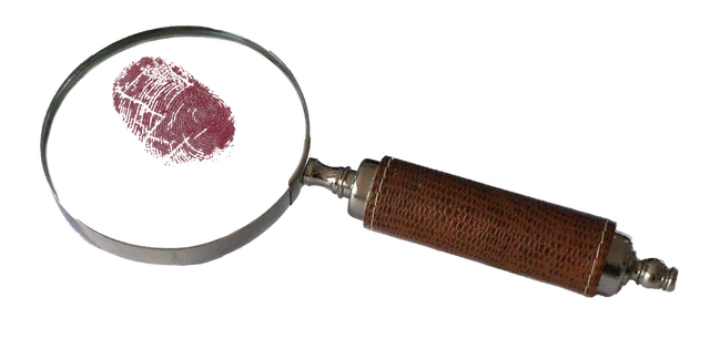 magnifying, glass, bloody, fingerprint, detective, mystery, lens, magnifier, discovery, tool, magnify, crime, investigate, optical, investigation, whodunnit, clue, criminal, evidence, print, examination, finding, enlarge, clue, clue, evidence, evidence, evidence, evidence, evidence. Platform ban tools worth buying focus on evidence, not prevention