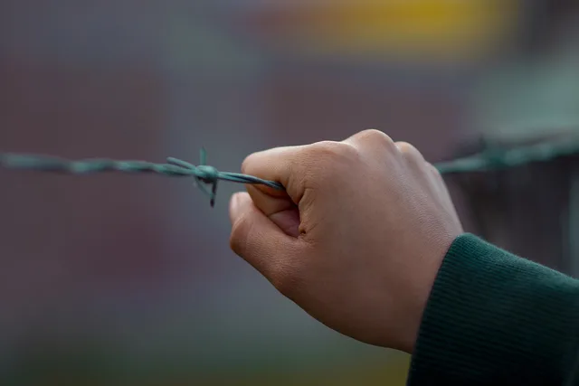 hand, barbed wire, hands, rights, policy, fence, metal, stress, policy, policy, policy, stress, stress, stress, stress, stress. What separates the strong content moderation policy examples from the weak