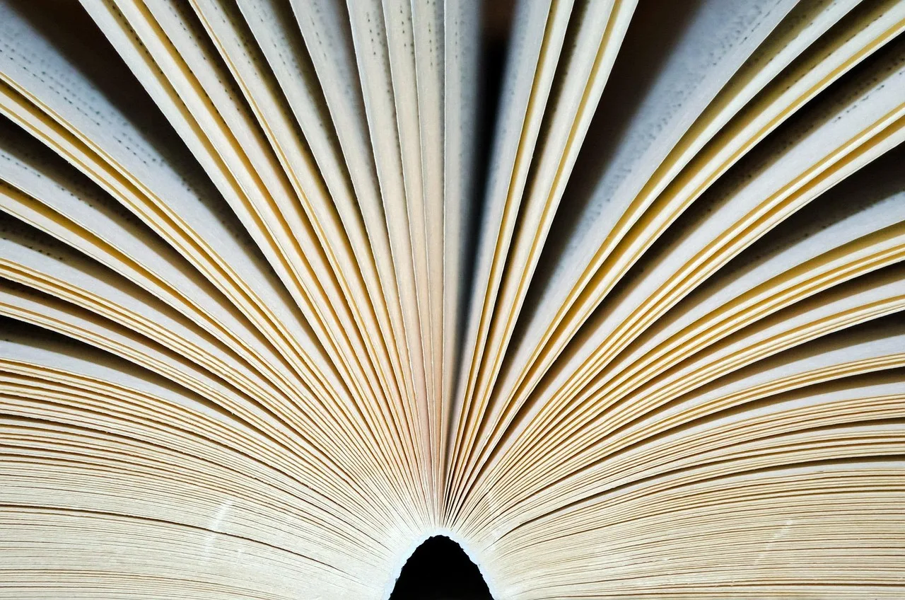 open, hd wallpaper, book, cool backgrounds, page, pages, beautiful wallpaper, laptop wallpaper, books, adventure, knowledge, library, 4k wallpaper 1920x1080, free wallpaper, business, manual, 4k wallpaper, wallpaper hd, learning, school, writing, history, full hd wallpaper, record, bookstore, mac wallpaper, store, background, black, old, reading, brown background, brown business, brown book, brown school, brown books, brown library, brown learning, wallpaper 4k, free background, brown writing, desktop backgrounds, brown reading, brown company, windows wallpaper, brown history, brown knowledge, brown old. Platform terms and rules guide: six clauses to read first