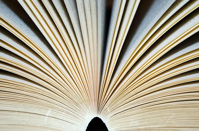 open, hd wallpaper, book, cool backgrounds, page, pages, beautiful wallpaper, laptop wallpaper, books, adventure, knowledge, library, 4k wallpaper 1920x1080, free wallpaper, business, manual, 4k wallpaper, wallpaper hd, learning, school, writing, history, full hd wallpaper, record, bookstore, mac wallpaper, store, background, black, old, reading, brown background, brown business, brown book, brown school, brown books, brown library, brown learning, wallpaper 4k, free background, brown writing, desktop backgrounds, brown reading, brown company, windows wallpaper, brown history, brown knowledge, brown old. Platform terms and rules guide: six clauses to read first