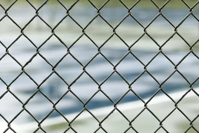 fence, division, screen, protection, barrier, security, separation, boundary, border, country, texture, defense, steel, barricade, international, immigration, department, illegal, partition, homeland, surveillance, terrorism, division, boundary, barricade, immigration, immigration, immigration, immigration, immigration, illegal, illegal, illegal, surveillance. 9 things to weigh up on policy news and timelines risks