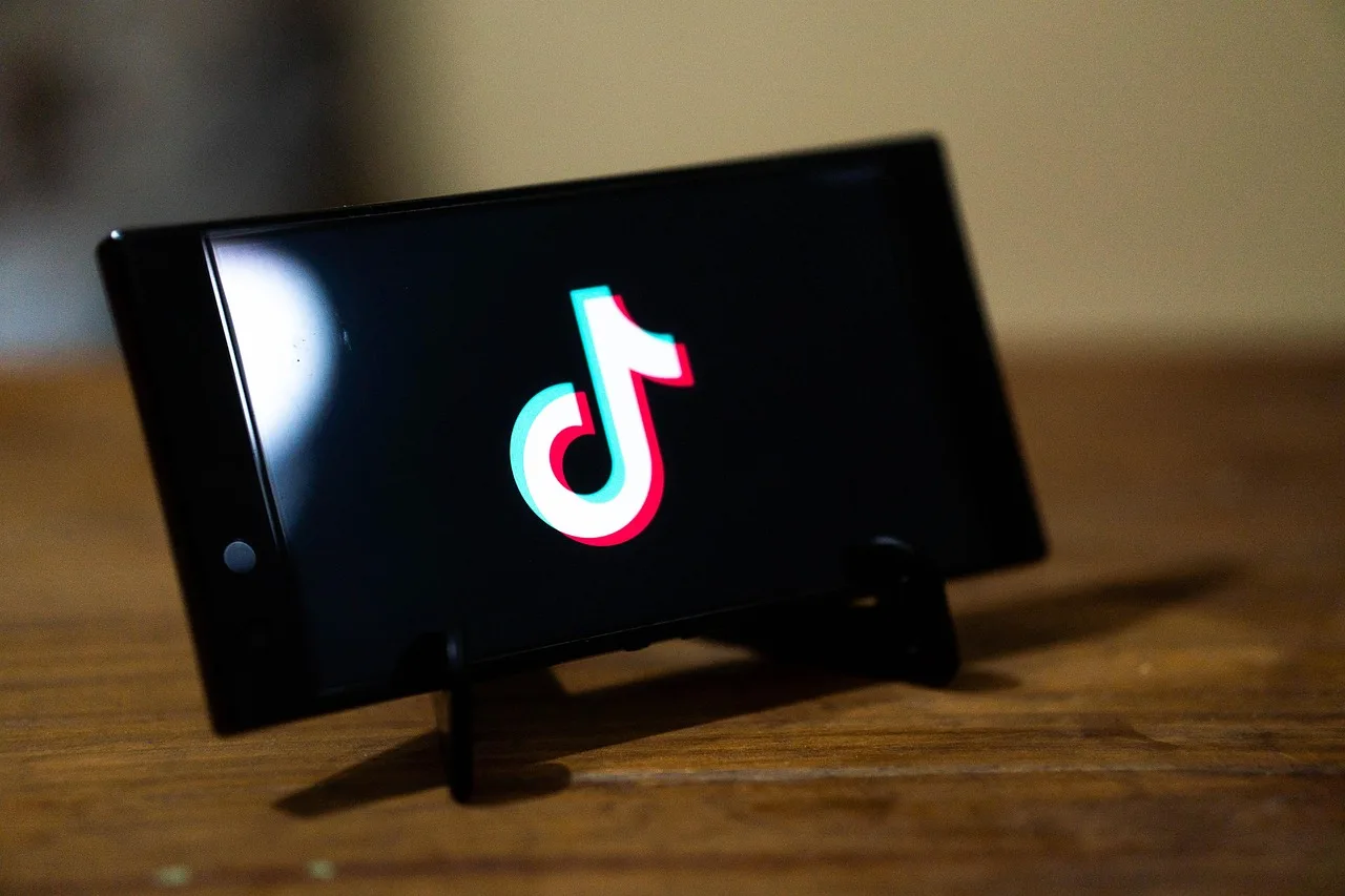 tiktok, app, smartphone, application, tiktok logo, screen, android, social media, mobile phone, cellphone, tiktok, tiktok, tiktok, tiktok, tiktok, tiktok logo. Florida and Texas social media bans for minors: three laws not to confuse